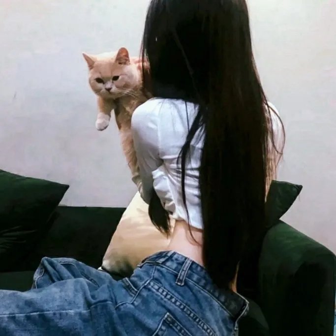 阿衰第七季